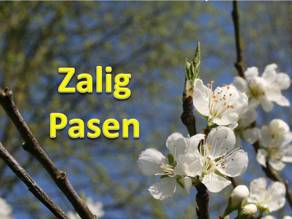 Zalig Pasen