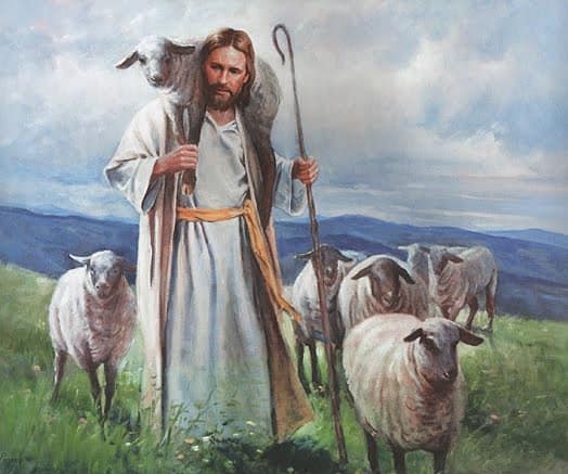 de goede herder