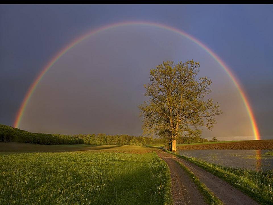 Afbeelding met gras, regenboog, natuur, buiten Automatisch gegenereerde beschrijving