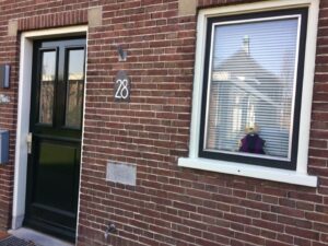 Afbeelding kan het volgende bevatten: plant en buiten