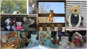 Afbeelding met foto, beer, gevuld, venster
Automatisch gegenereerde beschrijving