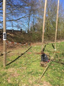 Afbeelding met gras, buiten, veld, paal Automatisch gegenereerde beschrijving