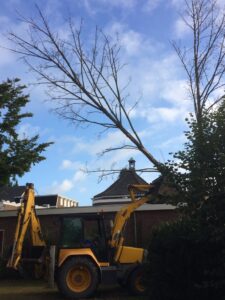 Afbeelding met buiten, straat, teken, boom Automatisch gegenereerde beschrijving