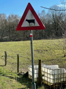 Afbeelding met tekst, gras, boom, buiten Automatisch gegenereerde beschrijving