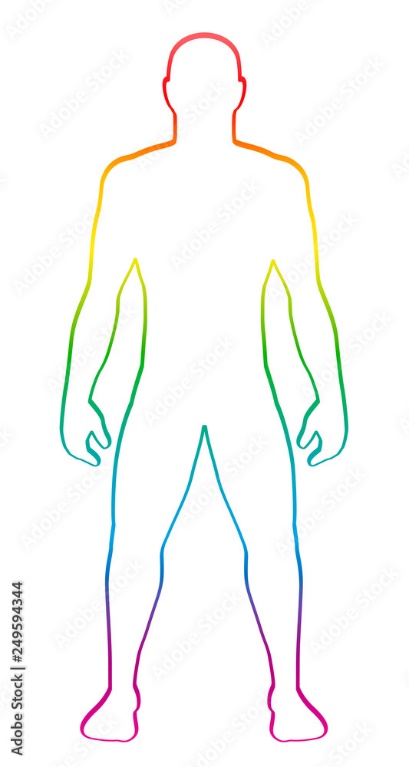 Vetor do Stock: Male muscular body shape. Rainbow gradient colored human silhouette. Outline vector illustration on white background. | Adobe Stock